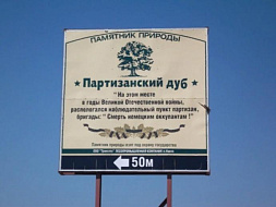 «Брянский Партизанский дуб борется за звание "Дерево года в России 2020"