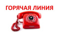  Горячая линия в рамках Всероссийской недели правовой помощи
