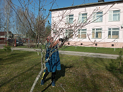 Субботник